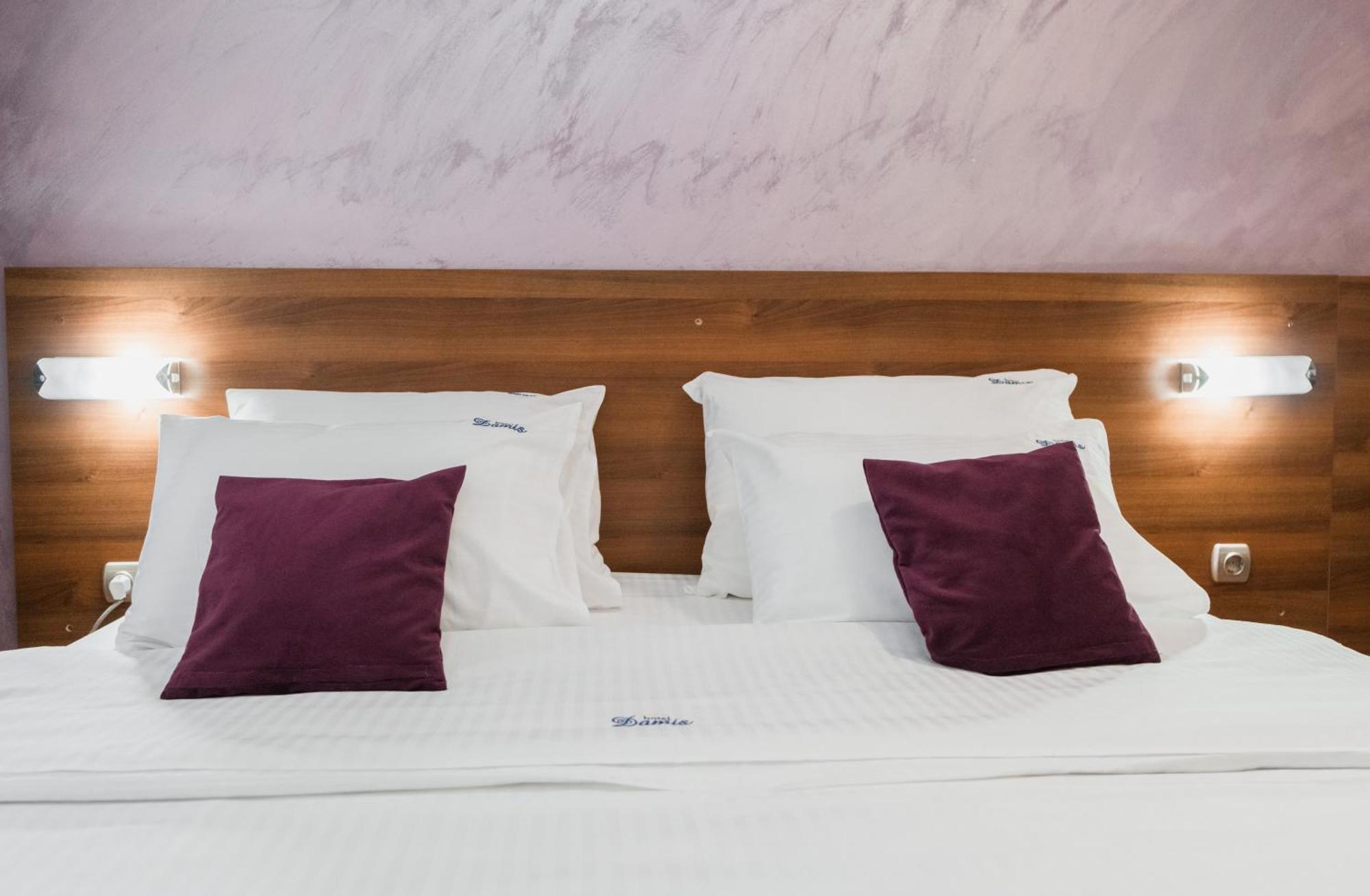 Hotel Damis Pale Bagian luar foto